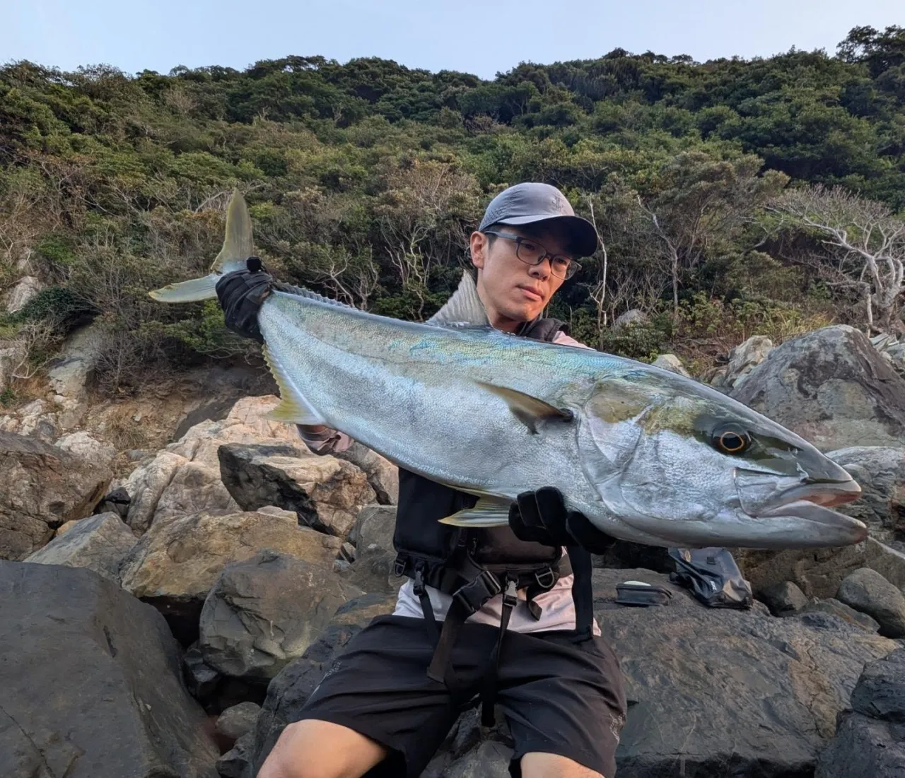 ヒラマサシーズン開幕🎣